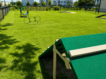 Pet agility park